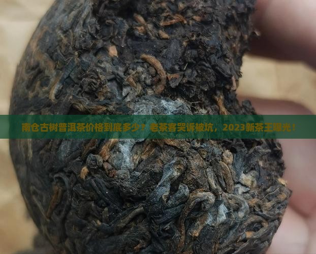 南仓古树普洱茶价格
