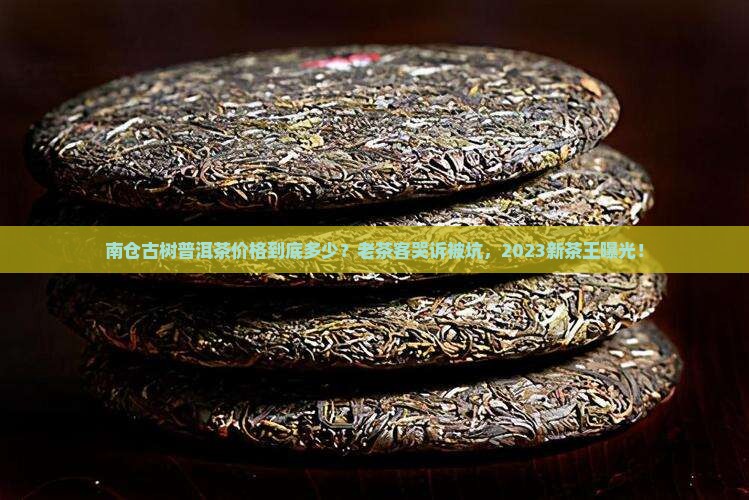 南仓古树普洱茶价格