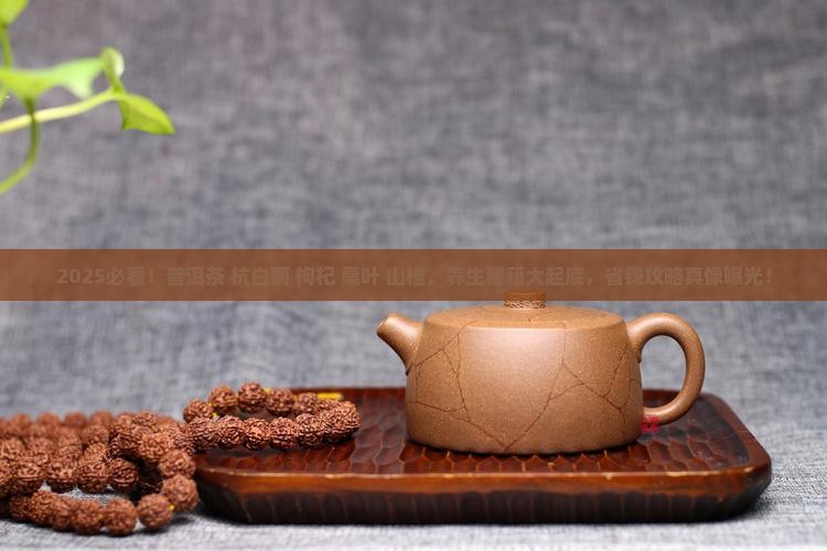 普洱茶杭白菊枸杞桑叶山楂