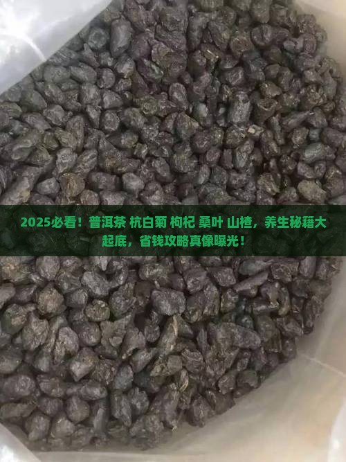普洱茶杭白菊枸杞桑叶山楂