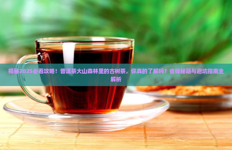 普洱茶大山森林里的古树茶