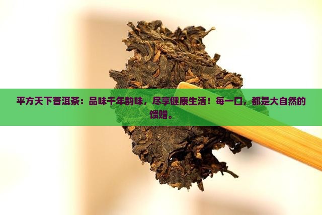 平方天下普洱茶
