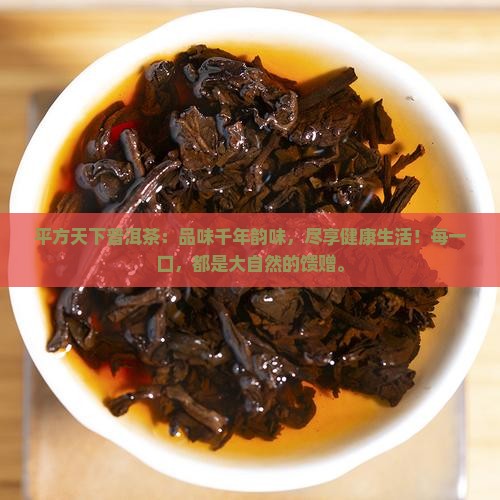 平方天下普洱茶