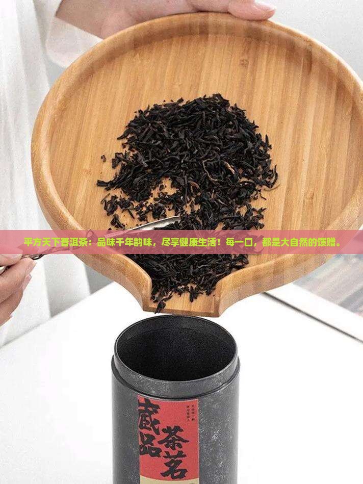 平方天下普洱茶