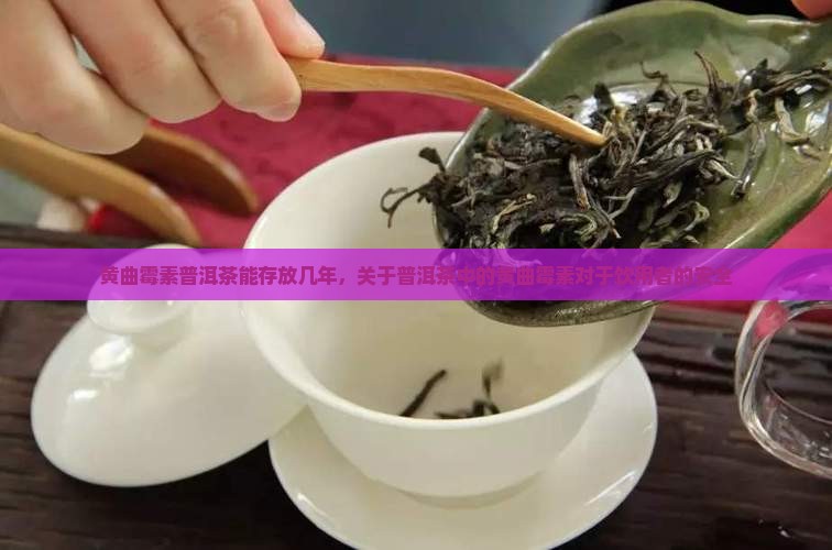 黄曲霉素普洱茶能存放几年