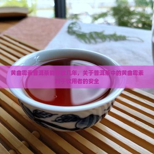 黄曲霉素普洱茶能存放几年