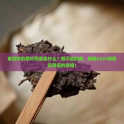什么是老班章的茶叶