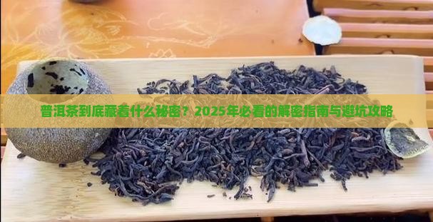关于普洱茶那些事