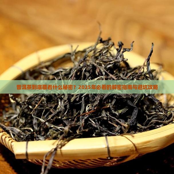 关于普洱茶那些事
