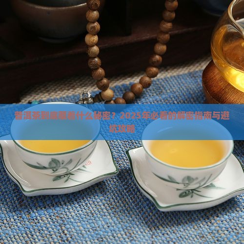 关于普洱茶那些事