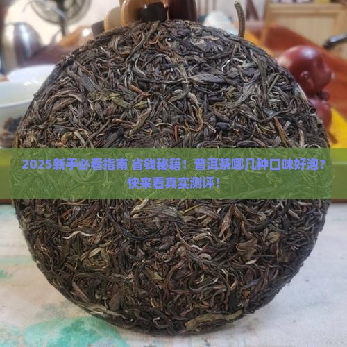 普洱茶都什么口味好泡