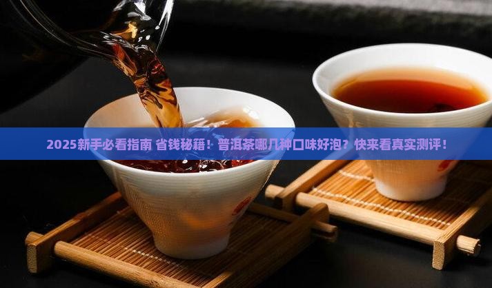普洱茶都什么口味好泡