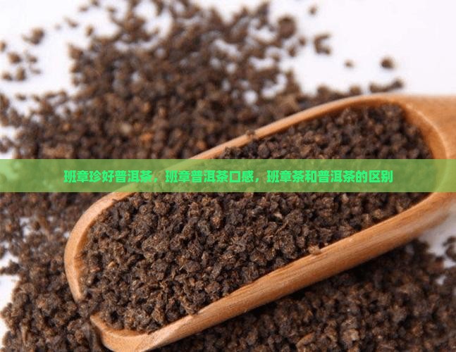 班章珍好普洱茶