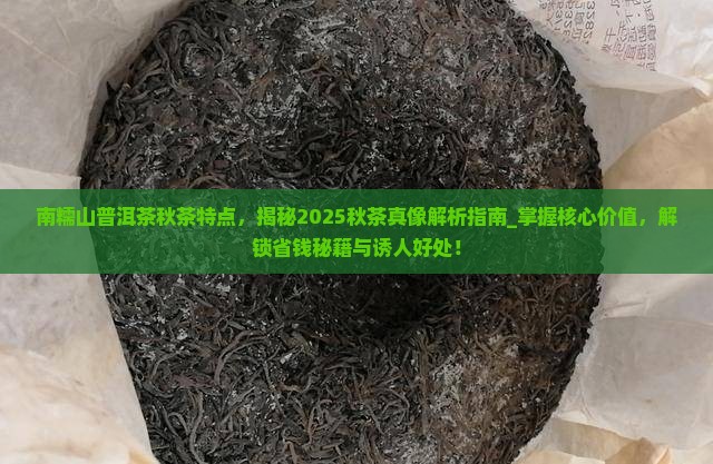 南糯山普洱茶秋茶特点