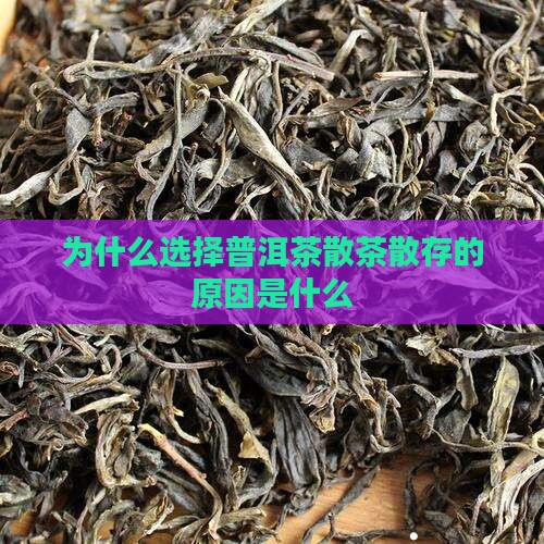 普洱茶散存的原因