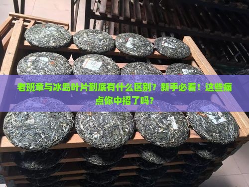 老班章与冰岛叶片的区别