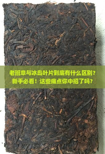 老班章与冰岛叶片的区别