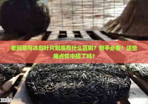 老班章与冰岛叶片的区别