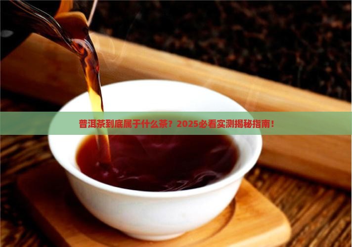 普洱茶属于什么差