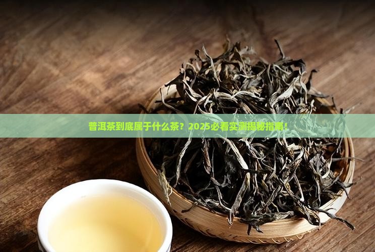 普洱茶属于什么差