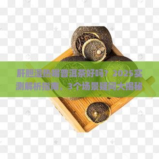 肝胆湿热喝普洱茶好吗吗