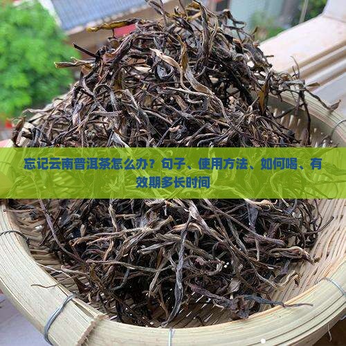 忘记云南普洱茶