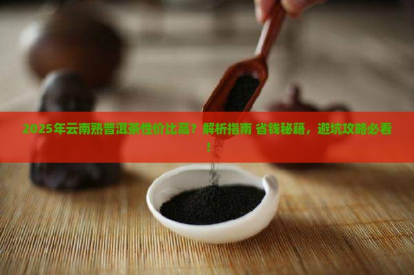 云南熟普洱茶哪些性价比高