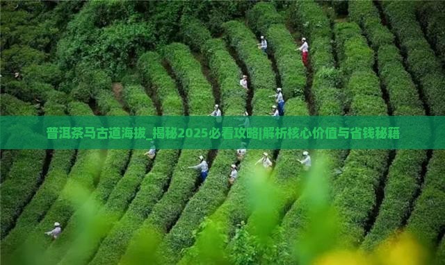 普洱茶马古道海拔