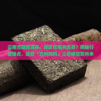 云南古濮普洱茶