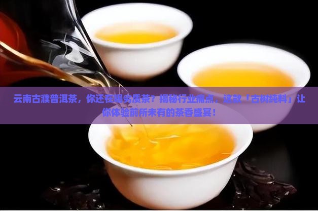 云南古濮普洱茶