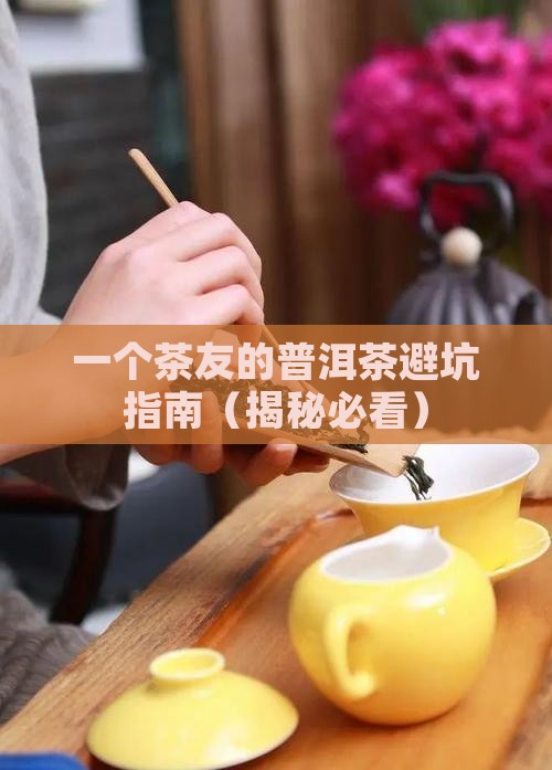 关于普洱茶的记载