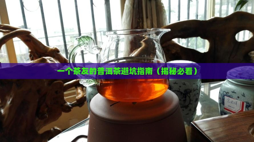 关于普洱茶的记载