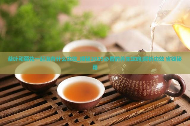 茶叶和菊花一起泡有什么功效