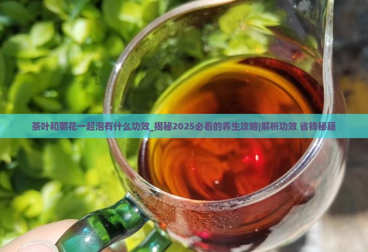 茶叶和菊花一起泡有什么功效