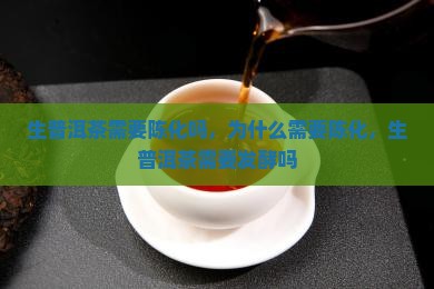 生普洱茶需要陈化吗
