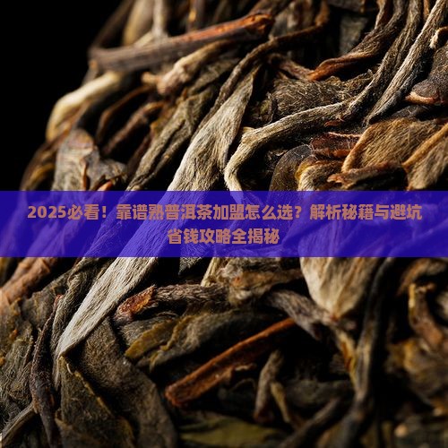 靠谱的熟普洱茶怎么加盟