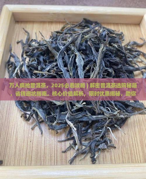 万人疯抢普洱茶