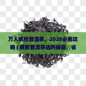万人疯抢普洱茶