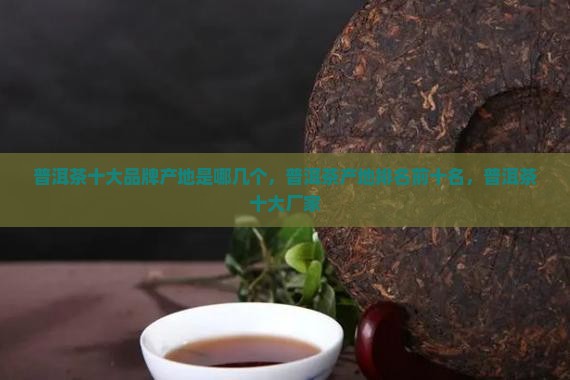 普洱茶十大品牌产地是哪