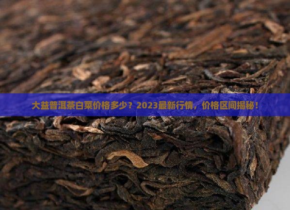 大益普洱茶白菜价格多少