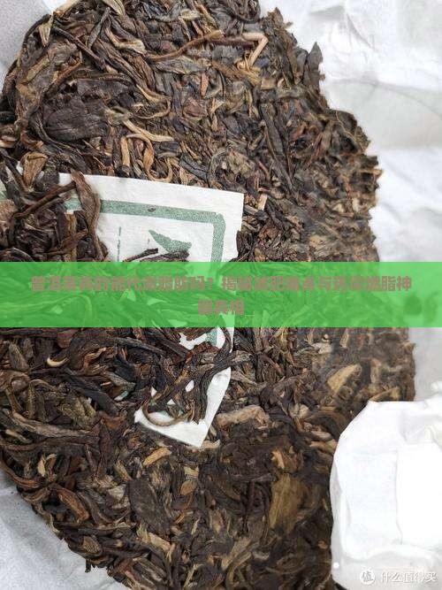 普洱茶代谢脂肪