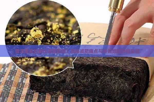普洱茶代谢脂肪