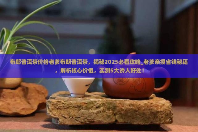 布郎普洱茶价格老爹布朗普洱茶