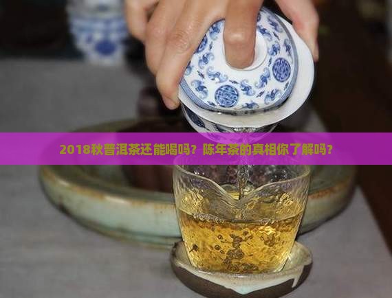 2018秋普洱茶