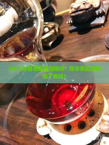 2018秋普洱茶