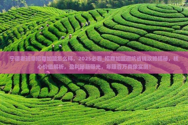 宁德老班章招商加盟怎么样