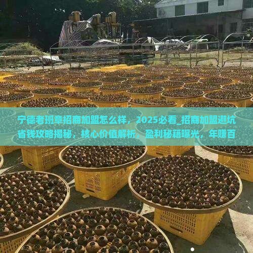 宁德老班章招商加盟怎么样