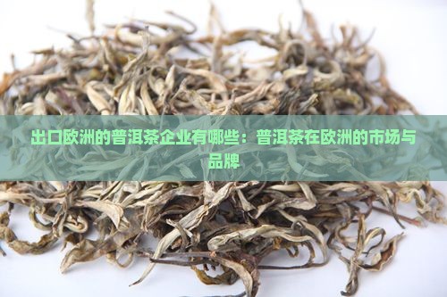 出口欧洲的普洱茶企业有哪些