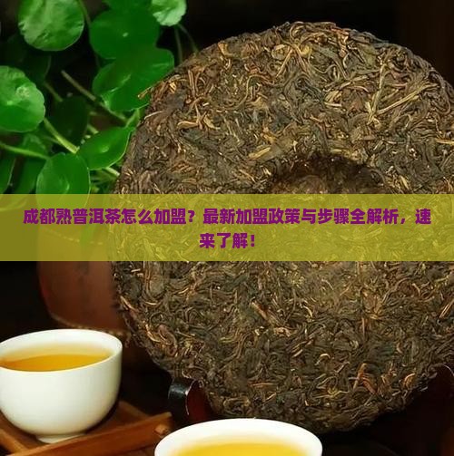 成都熟普洱茶怎么加盟