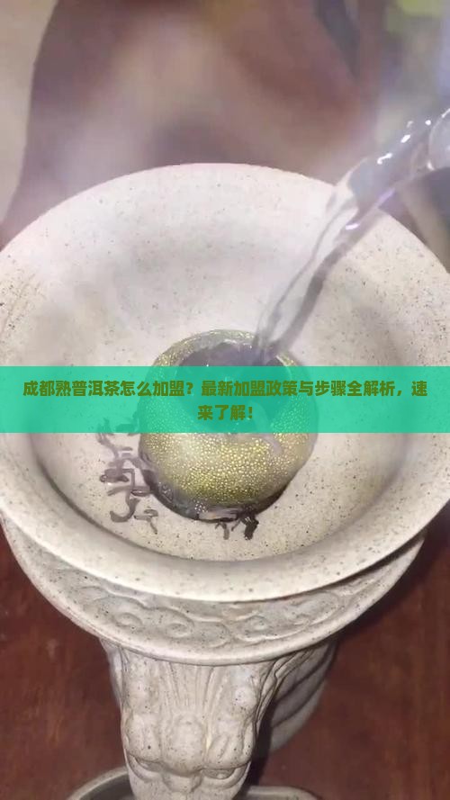 成都熟普洱茶怎么加盟